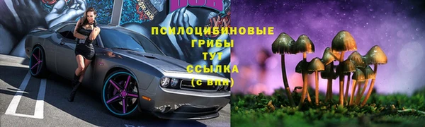 мяу мяу мука Михайловка