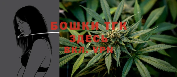 мдпв Михайловск