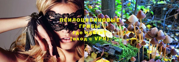 мдпв Михайловск
