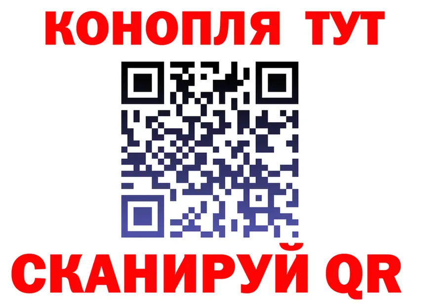 APVP СК КРИС ONION shop MEGA Владивосток