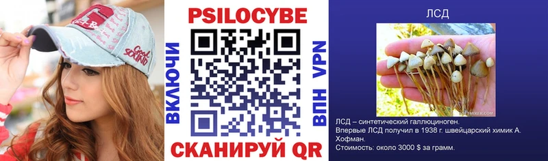Купить где  Владивосток  Галлюциногенные грибы Magic Shrooms 